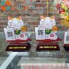 Kỷ niệm chương bằng mica